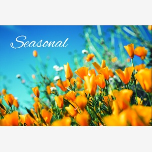 seasonal