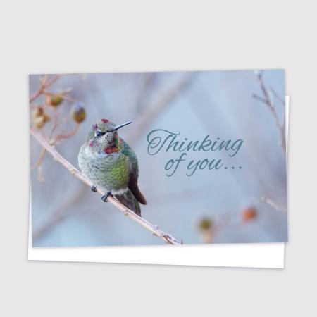 Thinking of You - Hummingbird
