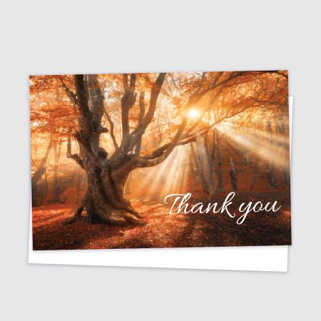 Thank you - Tree