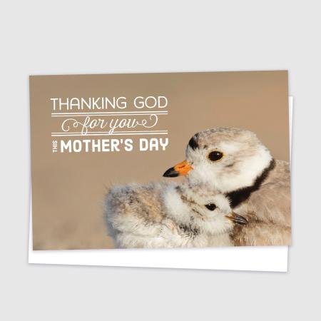 Mother's Day - Birds