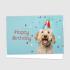 Anniversaire - chien 